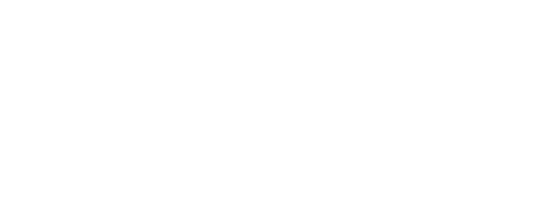 Palloj Law Group Logo